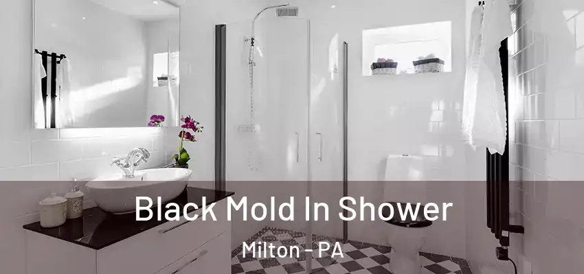 Black Mold In Shower Milton - PA