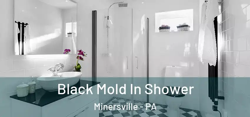 Black Mold In Shower Minersville - PA