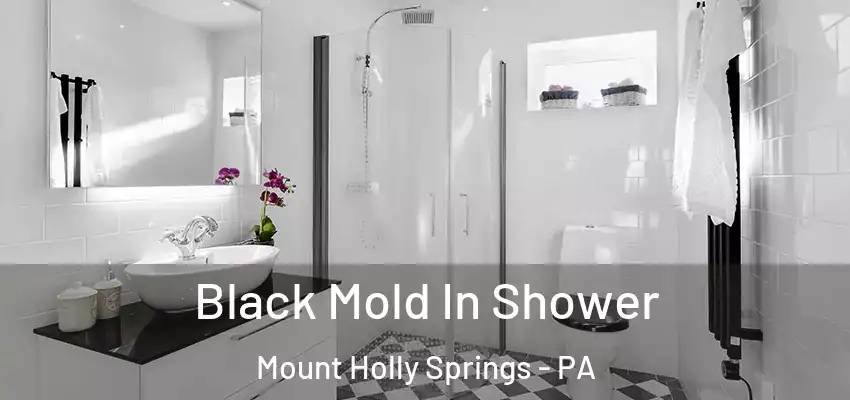  Black Mold In Shower Mount Holly Springs - PA