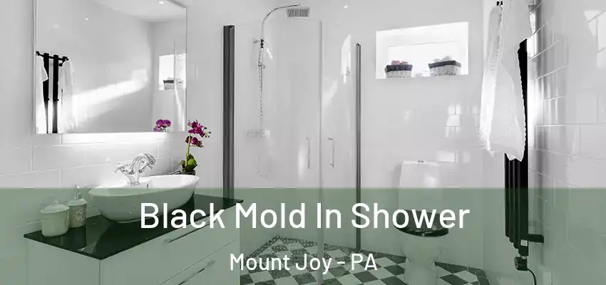  Black Mold In Shower Mount Joy - PA