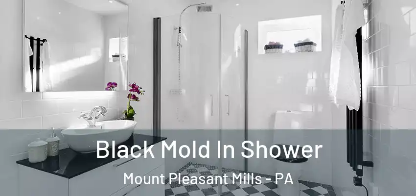  Black Mold In Shower Mount Pleasant Mills - PA