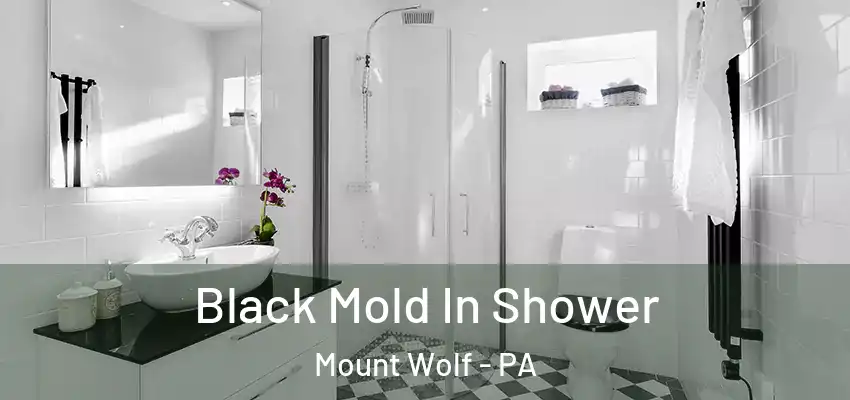 Black Mold In Shower Mount Wolf - PA