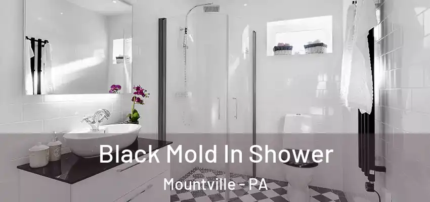  Black Mold In Shower Mountville - PA