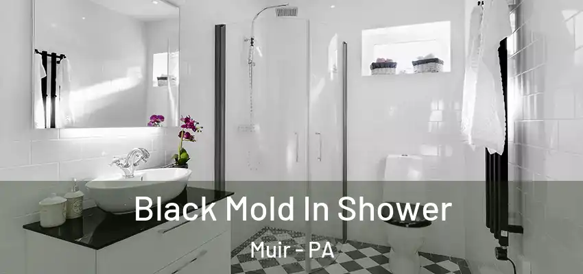  Black Mold In Shower Muir - PA