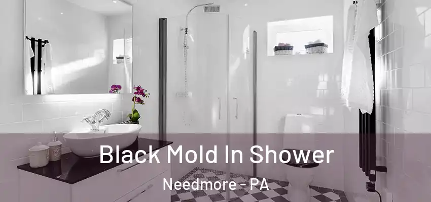  Black Mold In Shower Needmore - PA