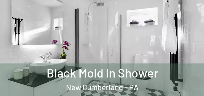 Black Mold In Shower New Cumberland - PA