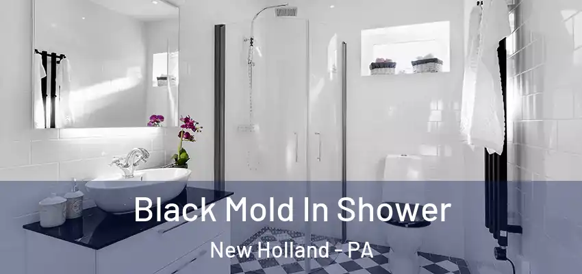  Black Mold In Shower New Holland - PA