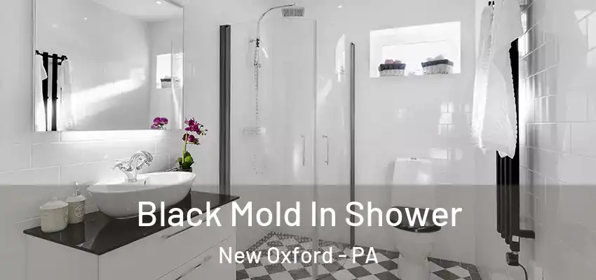  Black Mold In Shower New Oxford - PA