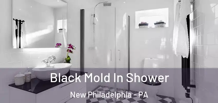 Black Mold In Shower New Philadelphia - PA