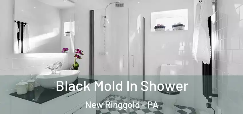  Black Mold In Shower New Ringgold - PA
