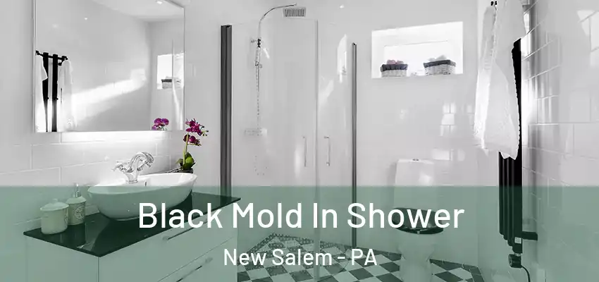  Black Mold In Shower New Salem - PA