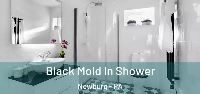 Black Mold In Shower Newburg - PA