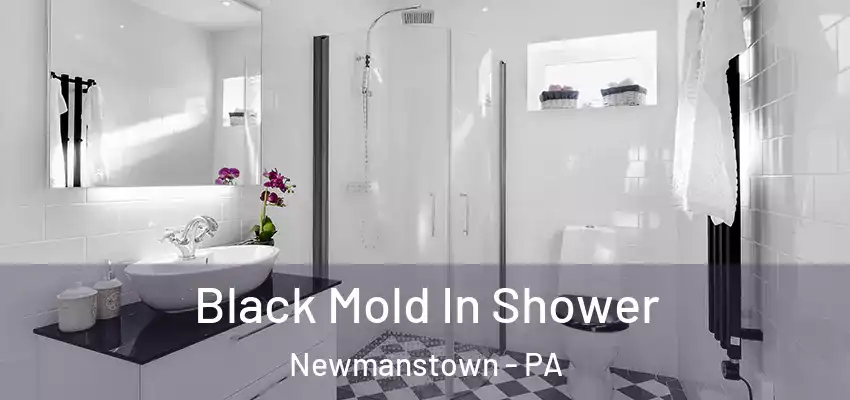  Black Mold In Shower Newmanstown - PA