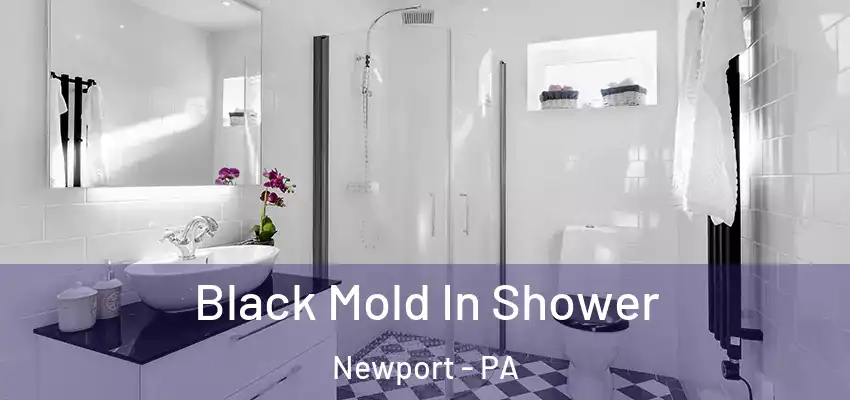 Black Mold In Shower Newport - PA