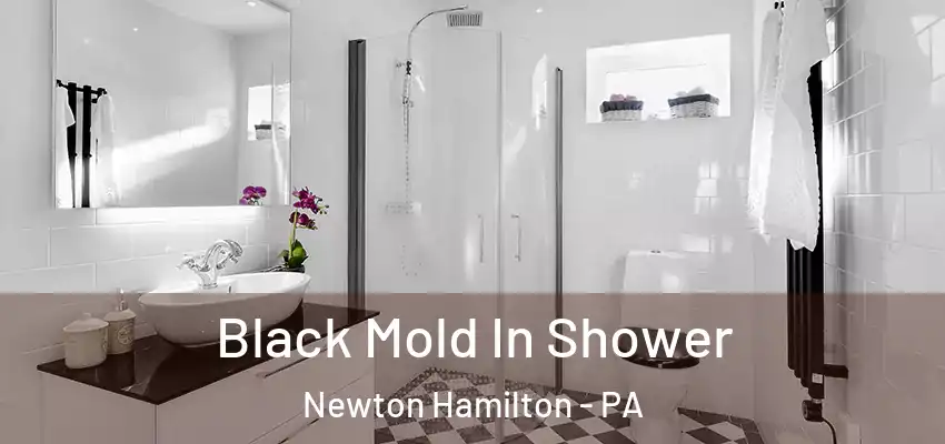Black Mold In Shower Newton Hamilton - PA