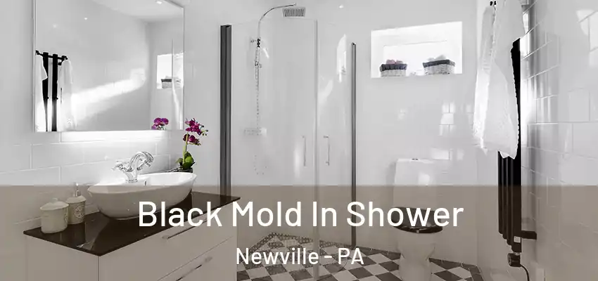 Black Mold In Shower Newville - PA