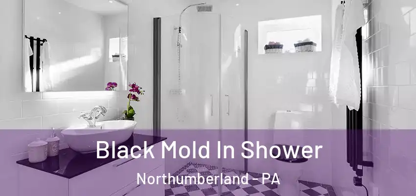  Black Mold In Shower Northumberland - PA