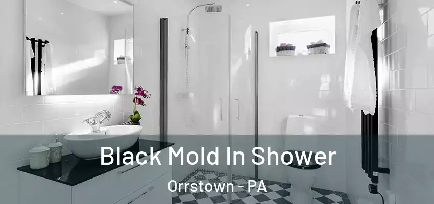  Black Mold In Shower Orrstown - PA