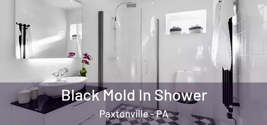  Black Mold In Shower Paxtonville - PA