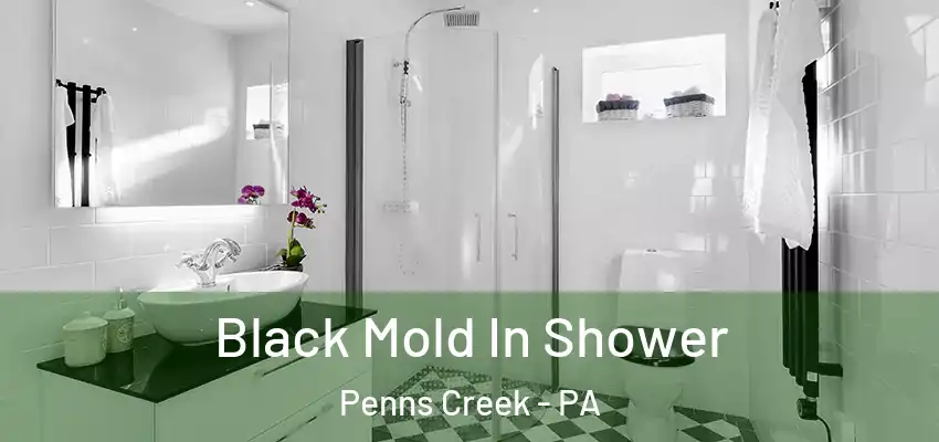  Black Mold In Shower Penns Creek - PA