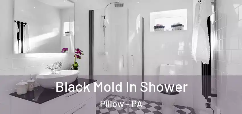  Black Mold In Shower Pillow - PA
