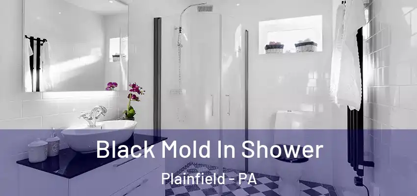 Black Mold In Shower Plainfield - PA