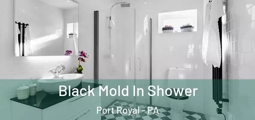  Black Mold In Shower Port Royal - PA