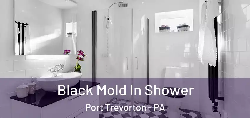  Black Mold In Shower Port Trevorton - PA