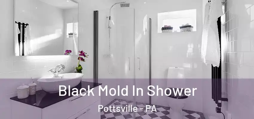 Black Mold In Shower Pottsville - PA