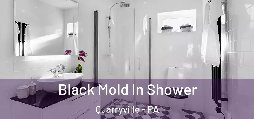  Black Mold In Shower Quarryville - PA