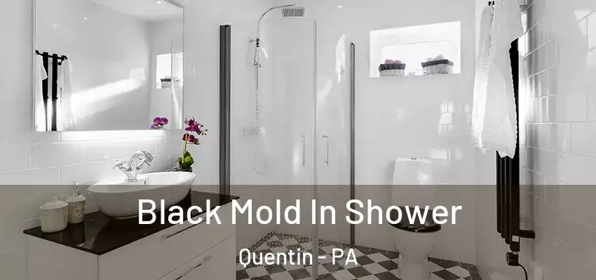  Black Mold In Shower Quentin - PA