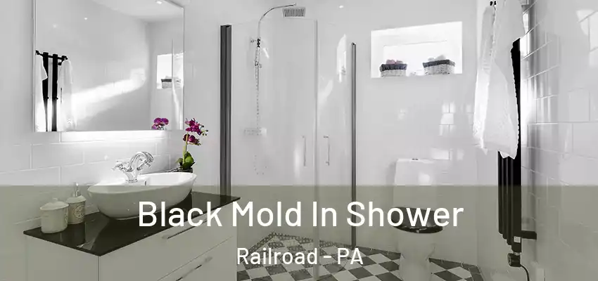 Black Mold In Shower Railroad - PA