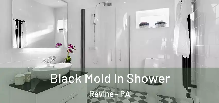 Black Mold In Shower Ravine - PA