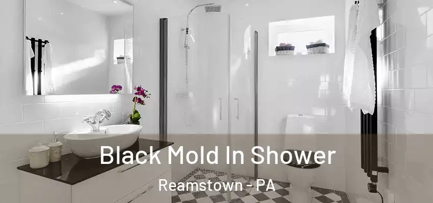  Black Mold In Shower Reamstown - PA