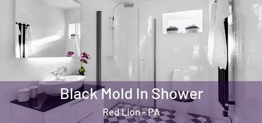 Black Mold In Shower Red Lion - PA