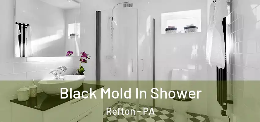  Black Mold In Shower Refton - PA