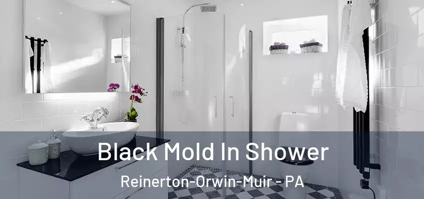 Black Mold In Shower Reinerton-Orwin-Muir - PA