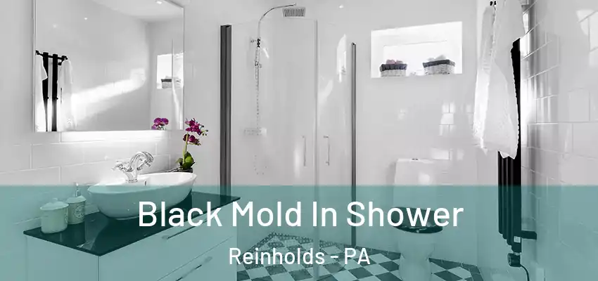 Black Mold In Shower Reinholds - PA