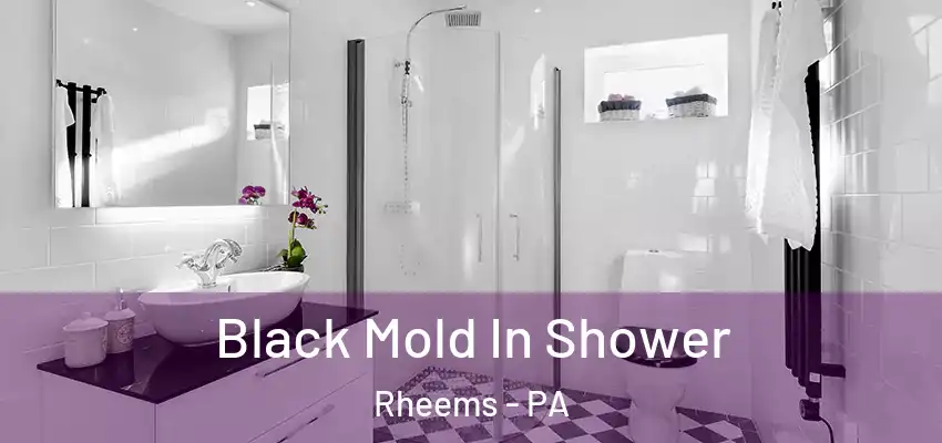  Black Mold In Shower Rheems - PA