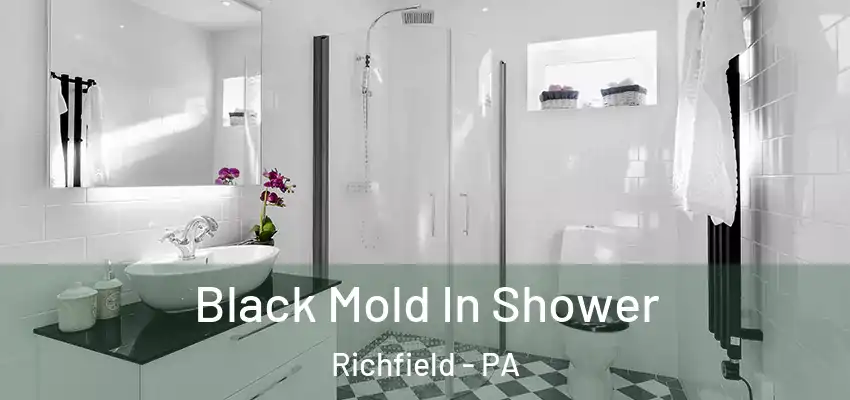 Black Mold In Shower Richfield - PA
