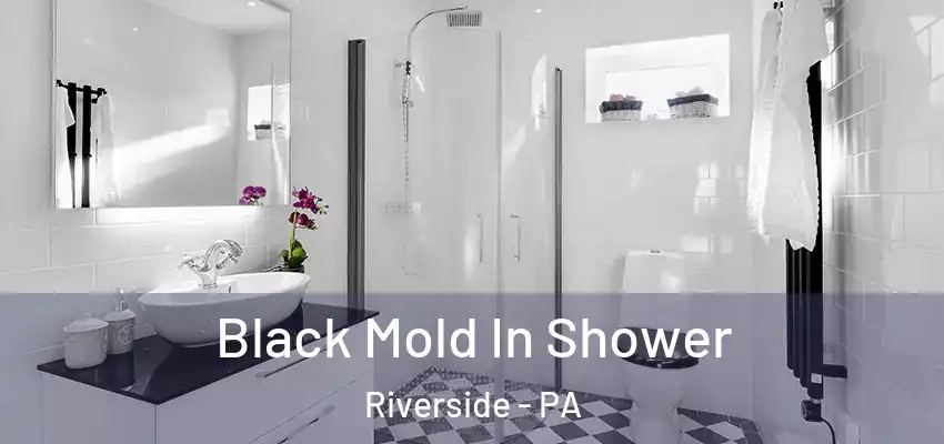 Black Mold In Shower Riverside - PA