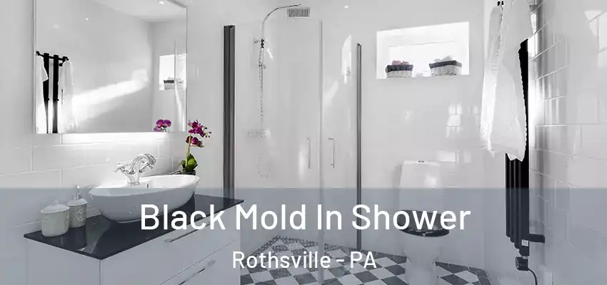  Black Mold In Shower Rothsville - PA