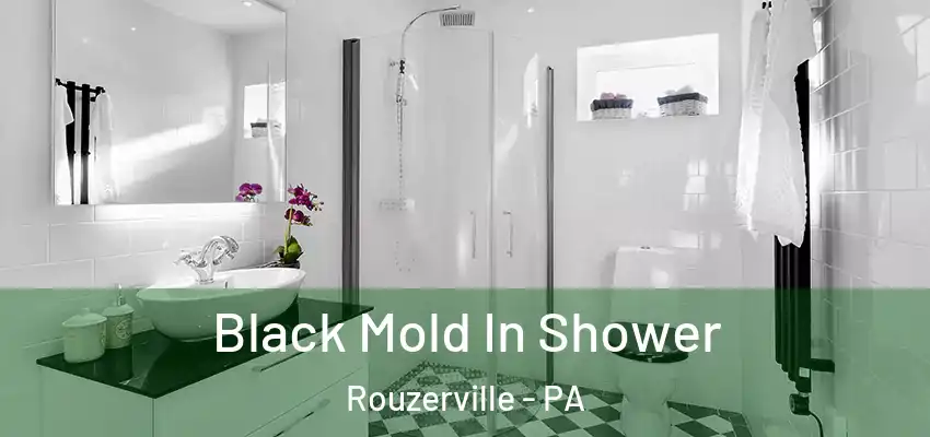 Black Mold In Shower Rouzerville - PA