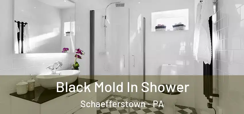 Black Mold In Shower Schaefferstown - PA