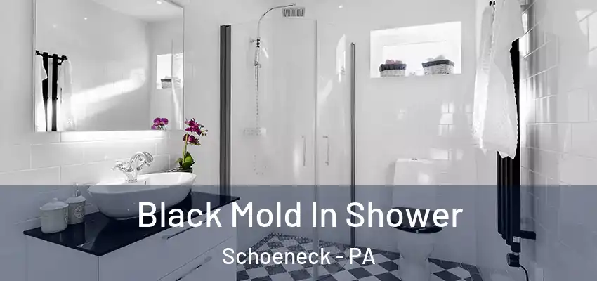  Black Mold In Shower Schoeneck - PA