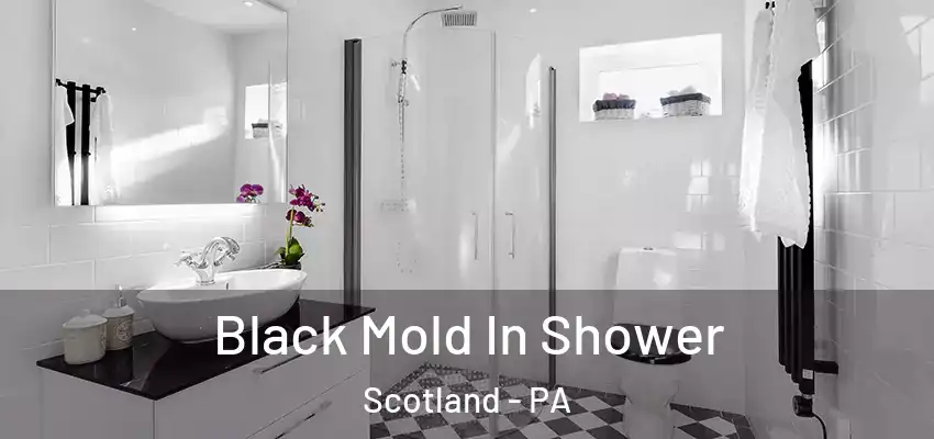  Black Mold In Shower Scotland - PA