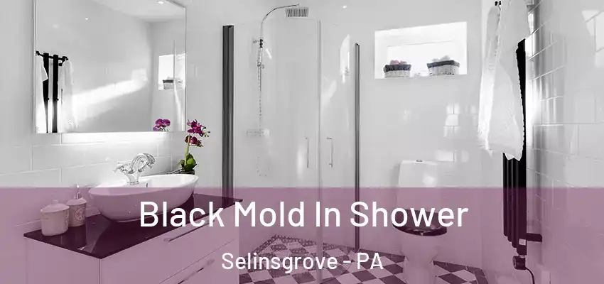  Black Mold In Shower Selinsgrove - PA