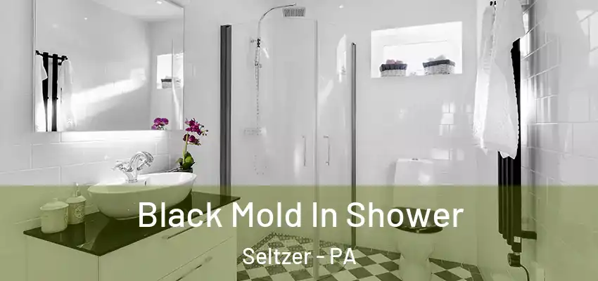  Black Mold In Shower Seltzer - PA