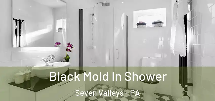  Black Mold In Shower Seven Valleys - PA