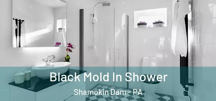  Black Mold In Shower Shamokin Dam - PA